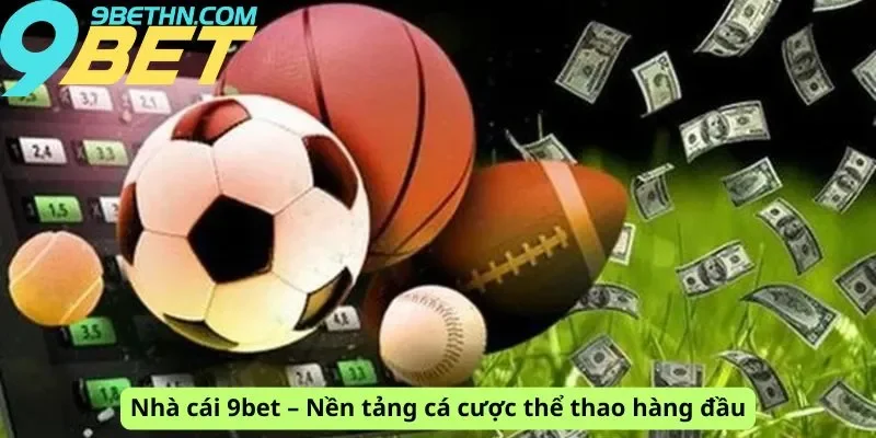 Nền tảng cược hàng đầu