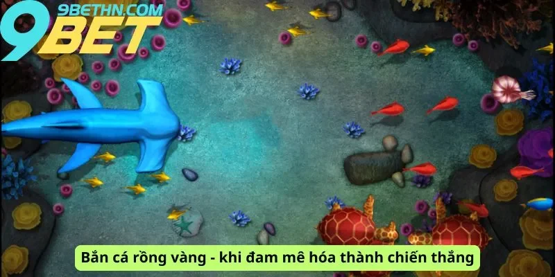 Đam mê hóa thành chiến thắng