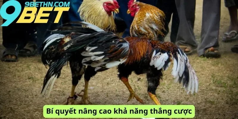 Bí quyết chơi nâng cao chiến thắng
