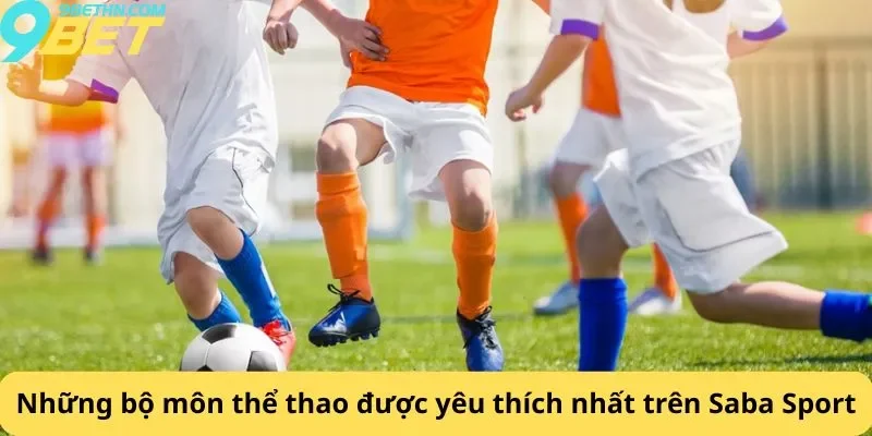 Những bộ môn được yêu thích nhất trên Saba Sport