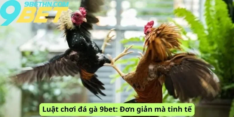 Luật chơi đơn giản mà tinh tế