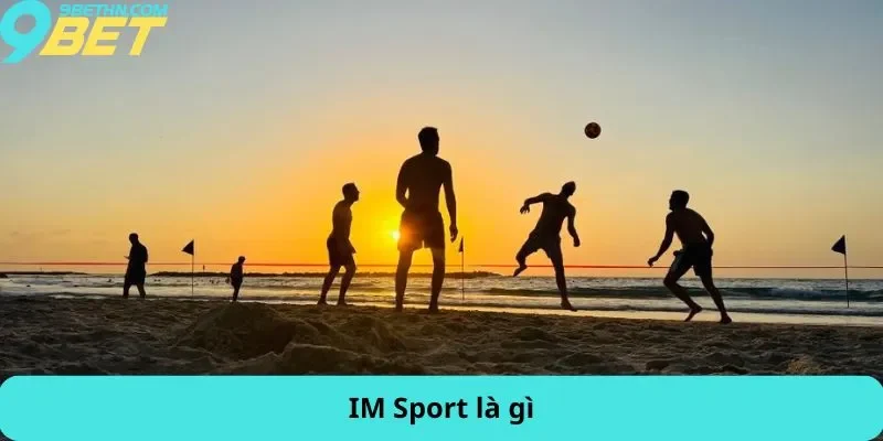 IM Sport là gì