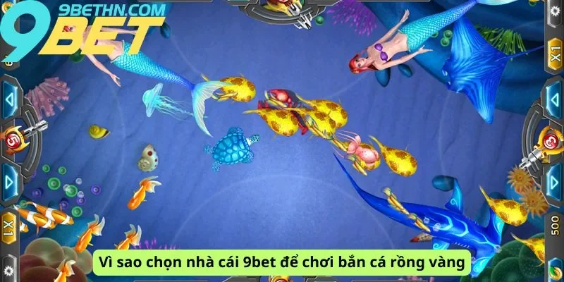 Lý do chọn 9bet để chơi