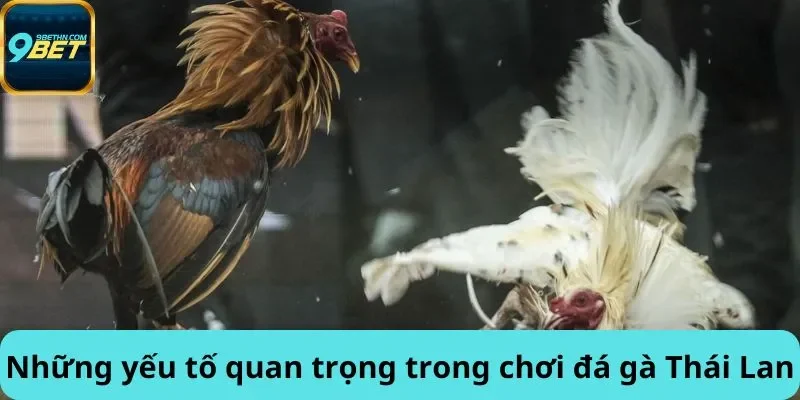 Những yếu tố quan trọng
